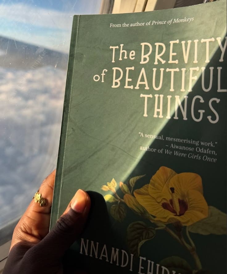 Cover of The Brevity of Beautiful Things