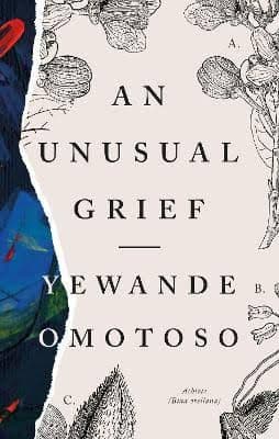 Cover of An Unsual Grief